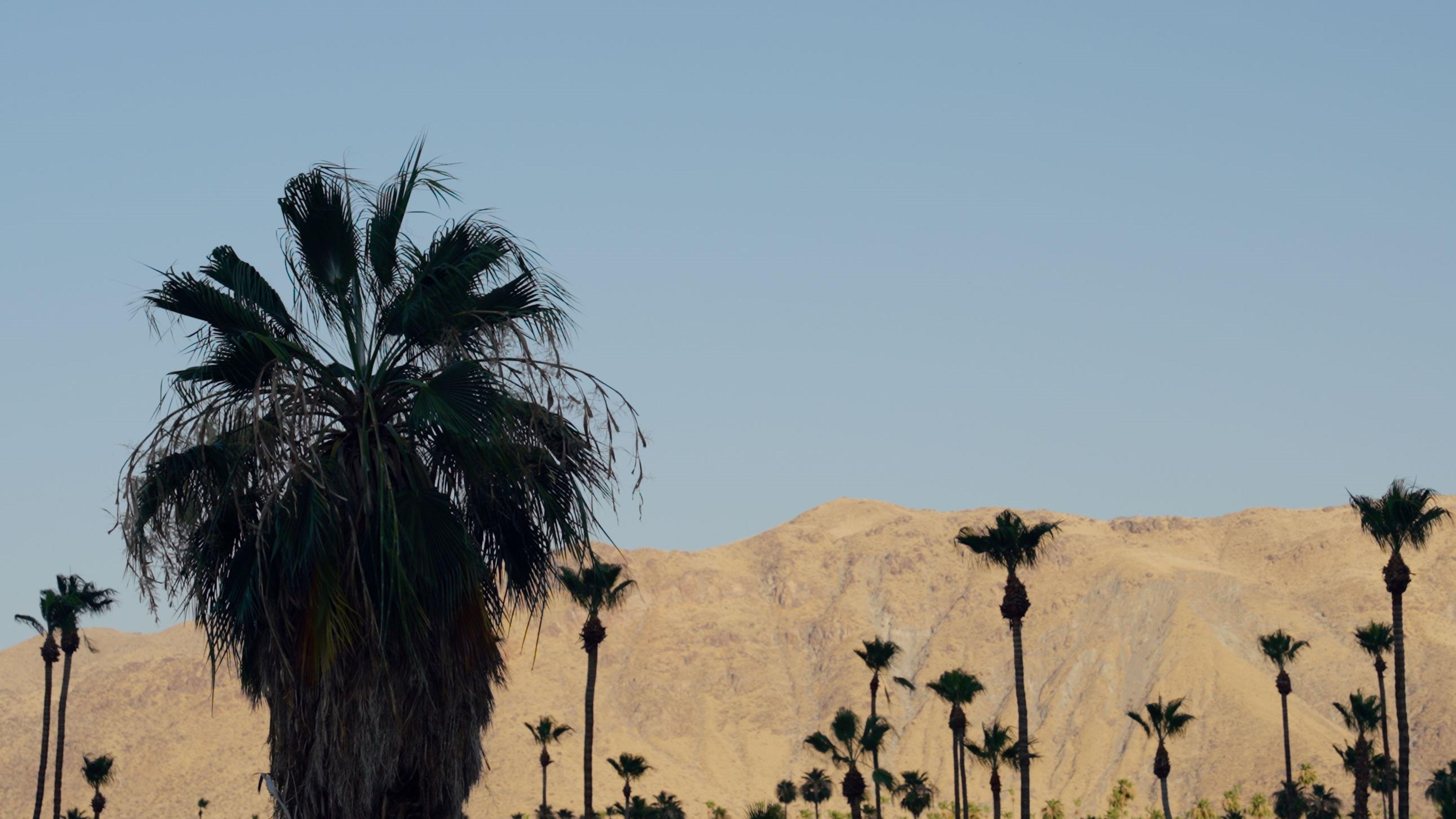 Royal Sun Palm Springs Hotell Exteriör bild